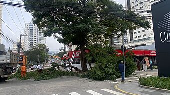 Remoção deve ser concluída até o fim da manhã desta terça-feira (6). (Foto: Zé Maia/CBN Floripa)