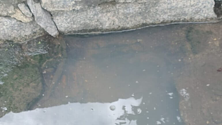 Moradores relatam que esgoto flui pelas ruas, especialmente em dias de chuva. (Foto: Arquivo Pessoal)