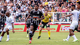 Figueirense e Avaí desapontaram em 2024 (Foto: Patrick Floriani, Divulgação, Figueirense)