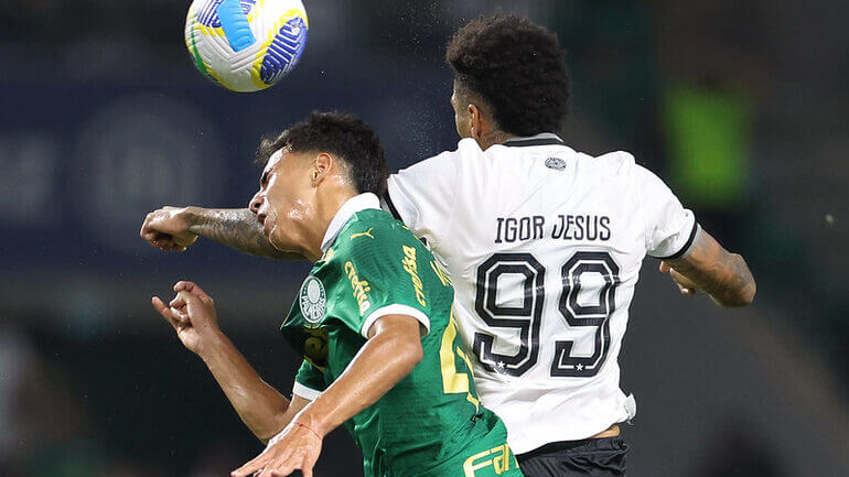 Botafogo venceu Palmeiras por 3x1 em São Paulo (Foto: Vitor Silva, Divulgação, Botafogo)