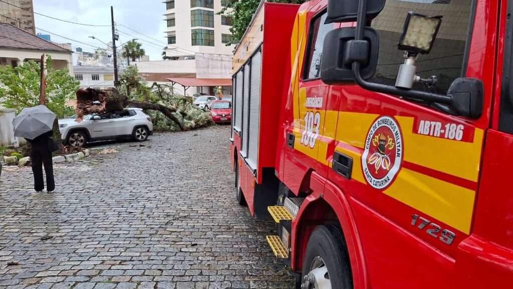Queda de árvore em cima de carros no Centro de Florianópolis