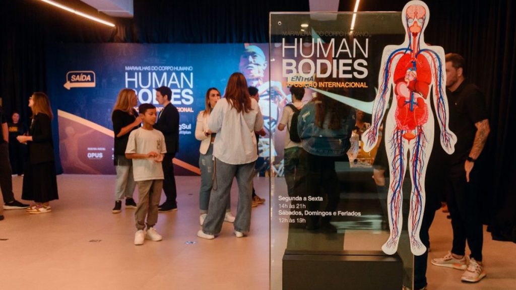 Exposição Internacional "Maravilhas do Corpo Humano" retorna a ...