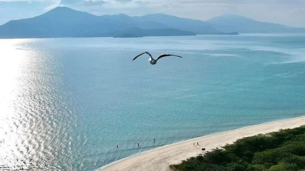 O estudo MySide Melhores Cidades para Investir 2025 analisou a rentabilidade dos últimos cinco anos. — (Foto: @drdaxbittencourt/Reprodução)