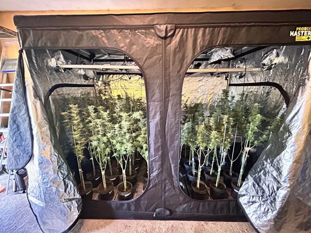 A equipe apreendeu equipamentos utilizados para o cultivo e beneficiamento da droga. — (Foto: PCSC/Reprodução)