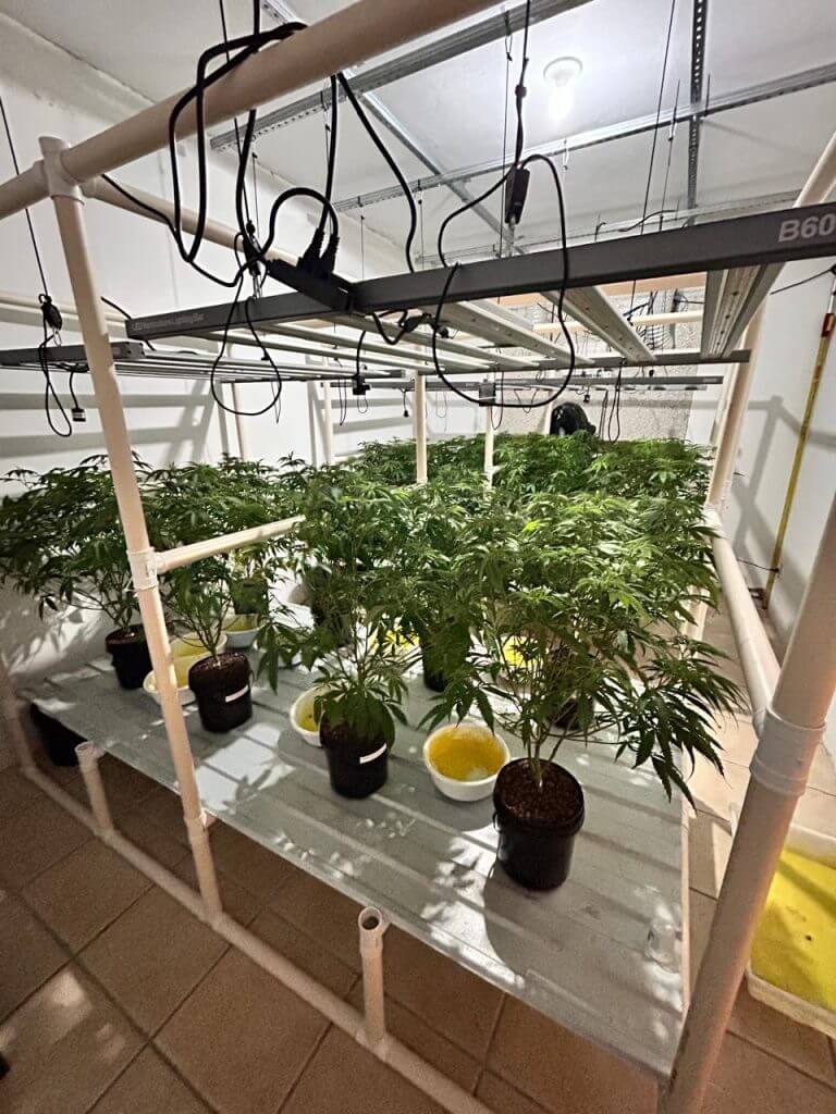 FOTOS: Polícia descobre laboratório de drogas dentro de casa em Florianópolis. — (Foto: PCSC/Reprodução)