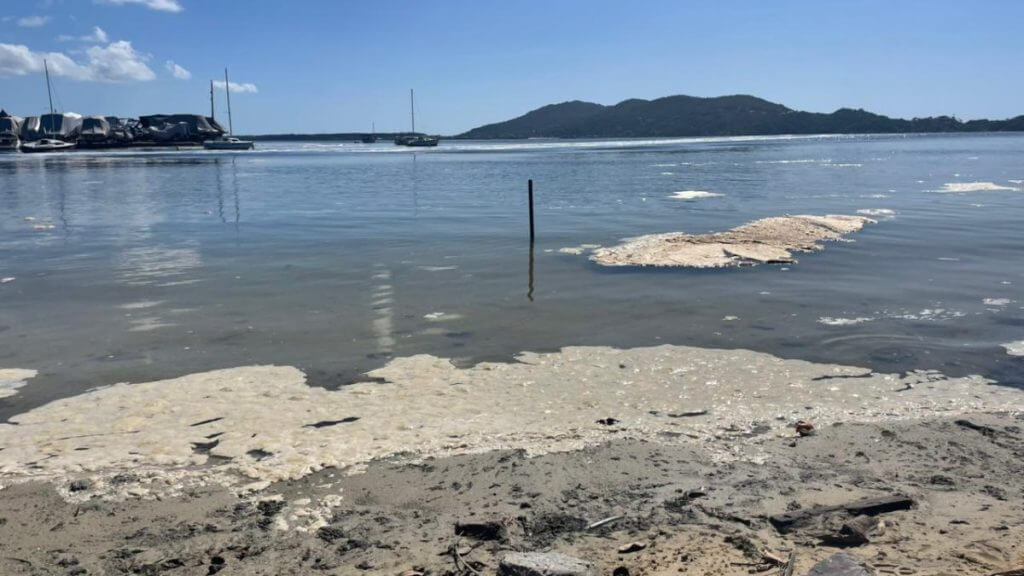 Uma análise divulgada pelo IMA nesta quarta-feira apontou que a espuma presente na Lagoa da Conceição, é decorrente da floração de microalgas. (Foto: Morgana Fernandes/NSC TV/Reprodução)