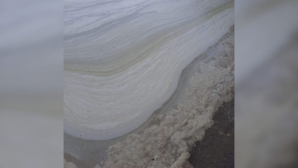 As mancham foram vistas entre a Rua Osni Ortiga e o Canto da Lagoa. (Foto: Reprodução)