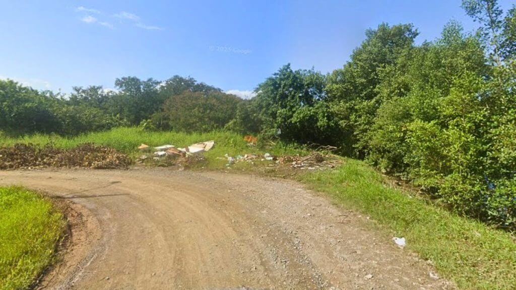 Jovens são encontrados mortos e enterrados em área de mangue em SC. (Foto: Google Street/Reprodução)