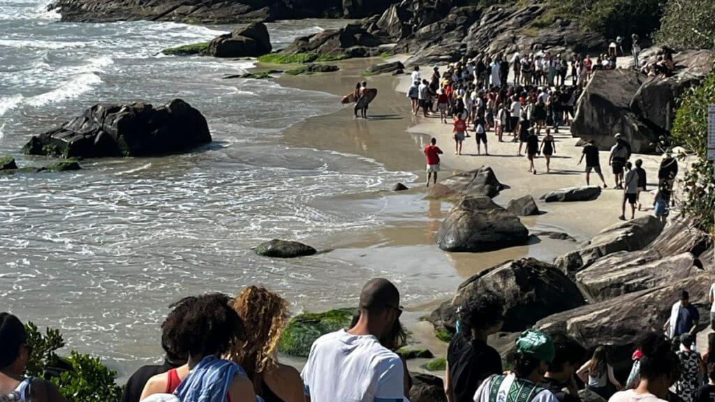 O que se sabe sobre caso de jovem encontrada morta em trilha de Florianópolis (Foto Juan Todescatt/ Reprodução)
